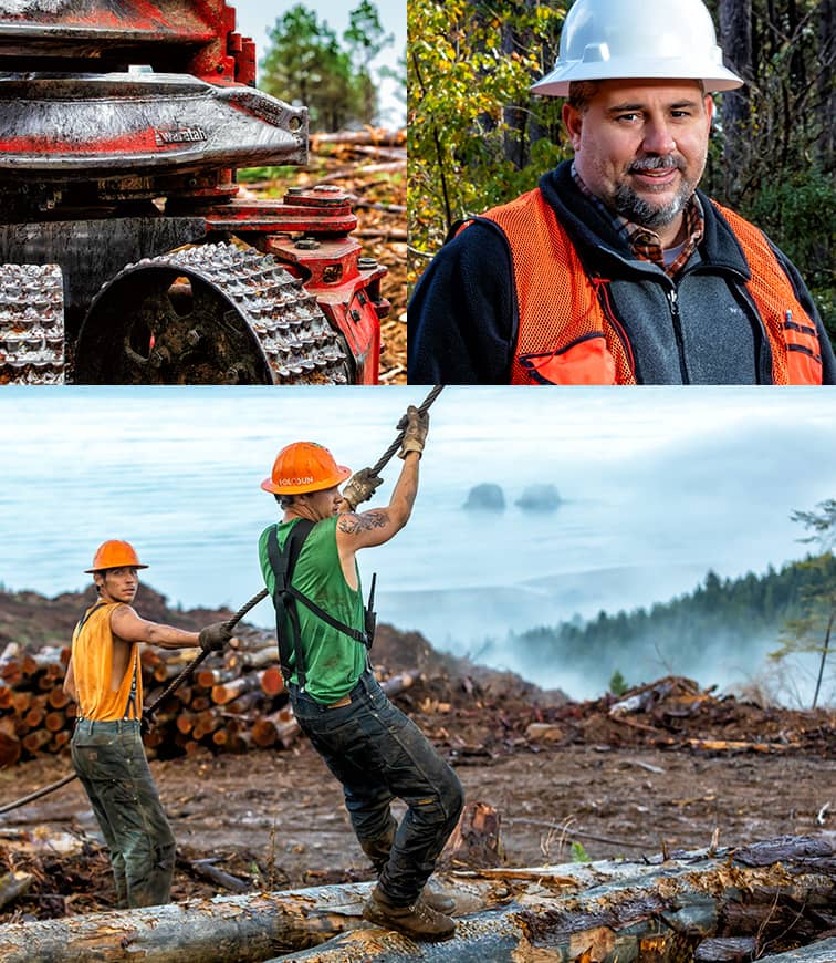 Waratah Forestry head with images of loggers working