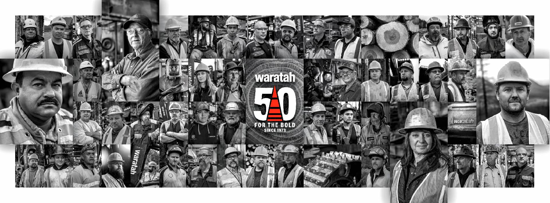 Waratah Brand Development 5 years logo and photo montage